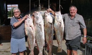 In Memoriam Andries Carstens